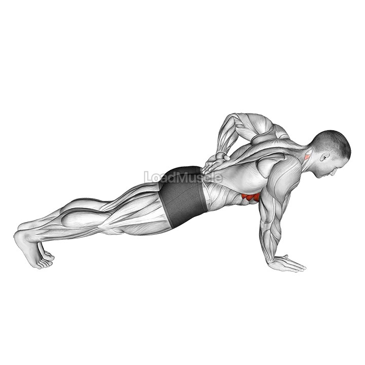 Single Arm Scapula Push up demonstration