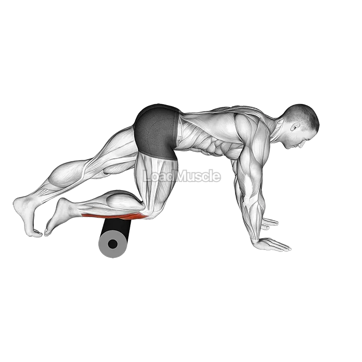 Roll Anterior Calf Foam Rolling demonstration