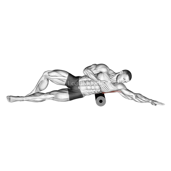 Roll Lat Foam Rolling demonstration
