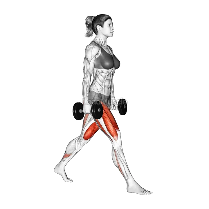 Dumbbell Split Squat demonstration