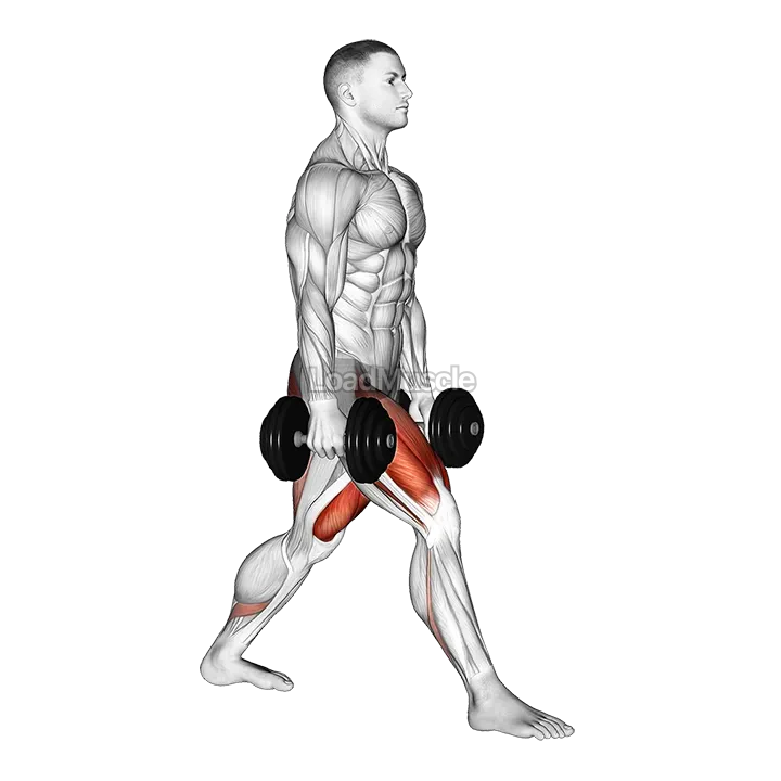 Dumbbell Split Squat demonstration