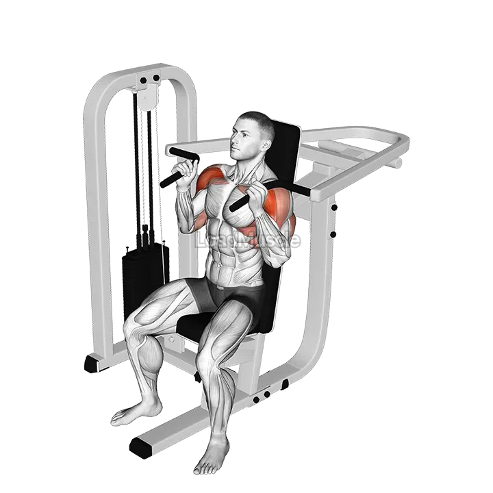 Lever Seated Hammer Grip Shoulder Press demonstration