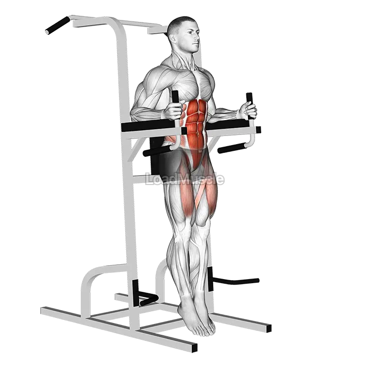 Captains Chair Straight Leg Raise demonstration