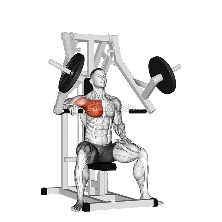 Lever One Arm Chest Press (plate loaded) demonstration