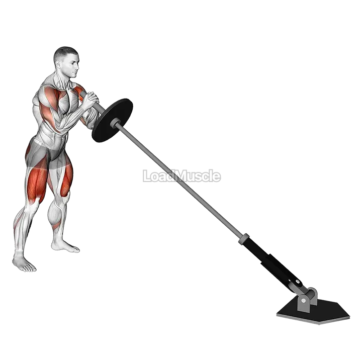 Landmine Squat and Press demonstration