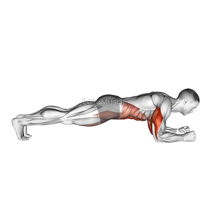 Elbow Up and Down Dynamic Plank demonstration
