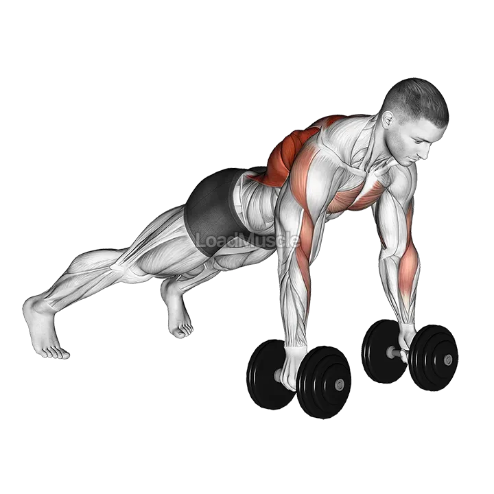 Dumbbell Renegade Row demonstration
