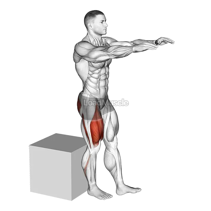 Pistol Squat to Box demonstration