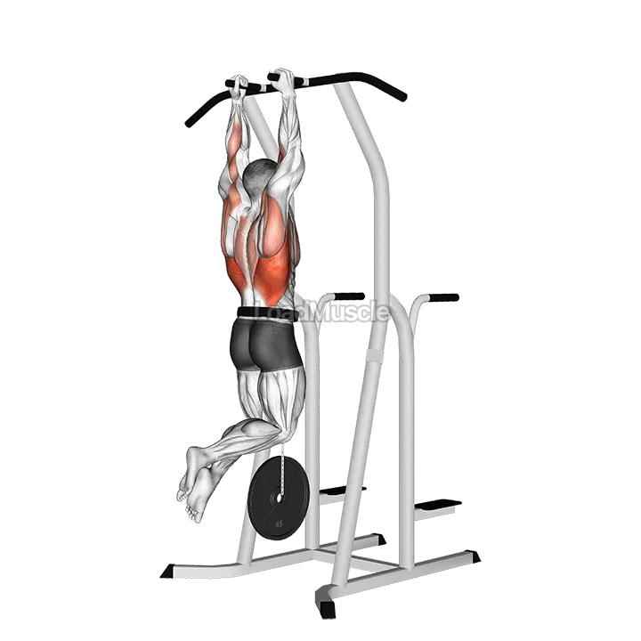Weighted Hammer Grip Pull up on Dip Cage demonstration