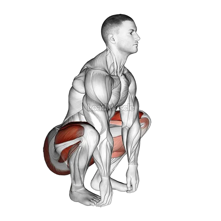 Squat mobility Complex demonstration