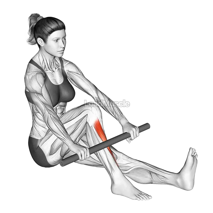 Self Anterior Calf Foam Rolling demonstration