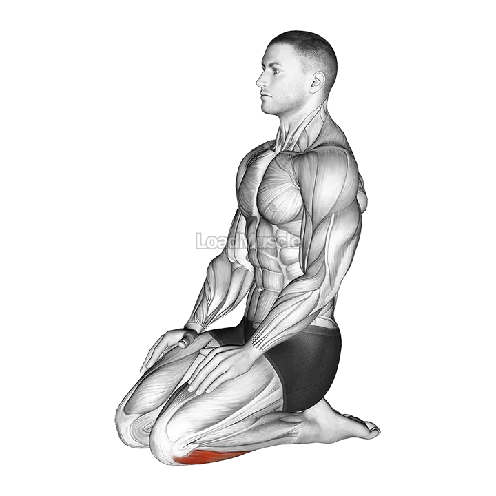 Seated Ankle Stretch demonstration