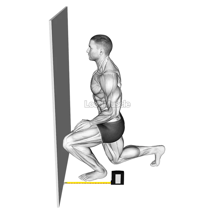 Squats Knee Position demonstration