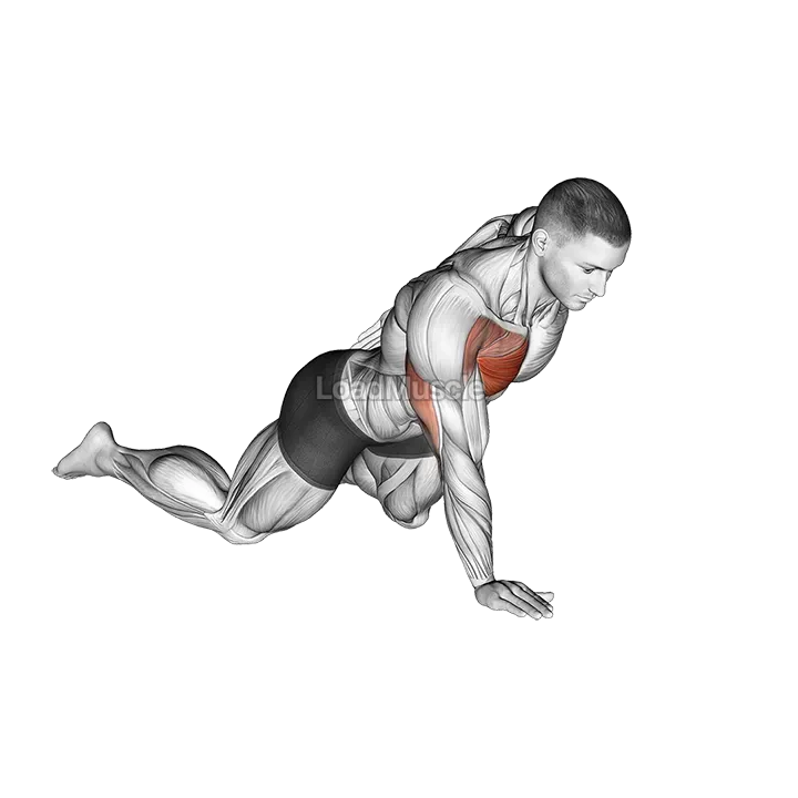 Single Arm Push up (on knees) demonstration