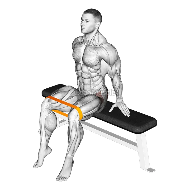 Resistance Band Seated Hip Abduction demonstration