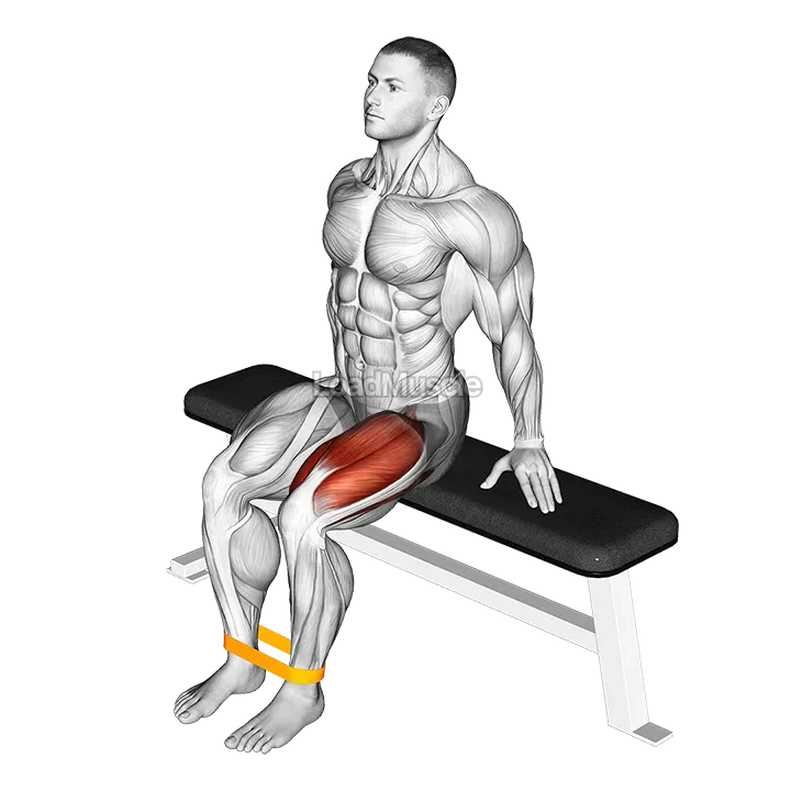 Resistance Band Leg Extension demonstration