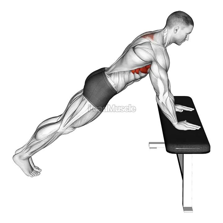 Incline Scapula Push-up demonstration