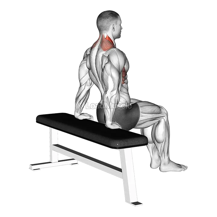 Scapula Dips demonstration