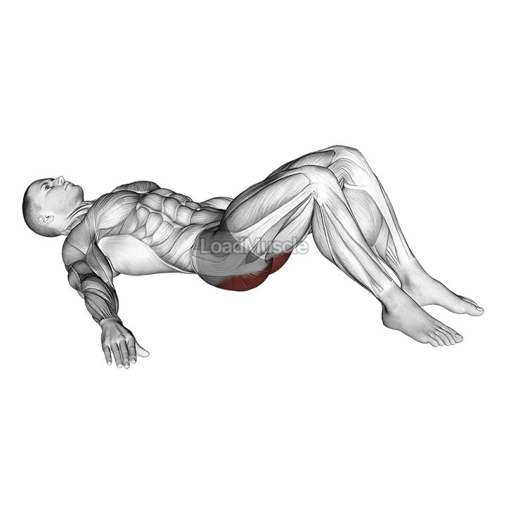 Low Glute Bridge on floor demonstration