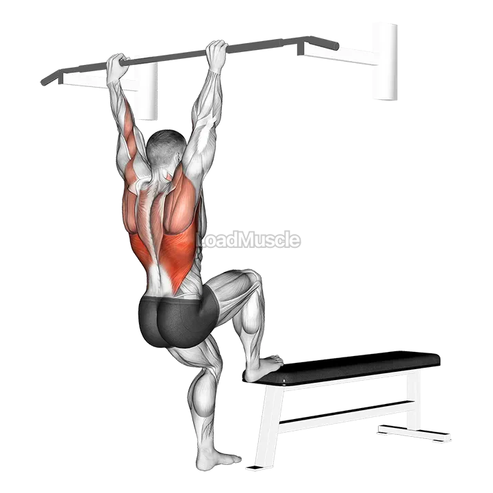 Bench Pull-ups demonstration