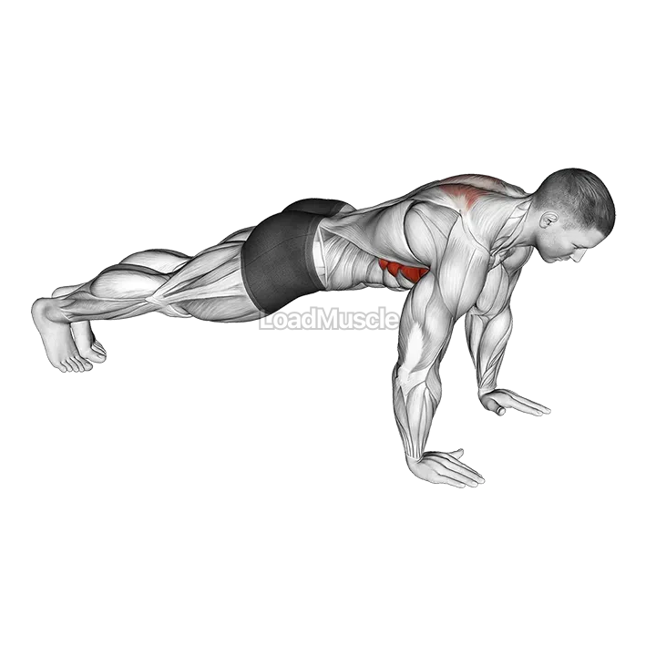 Scapula Push-Up demonstration