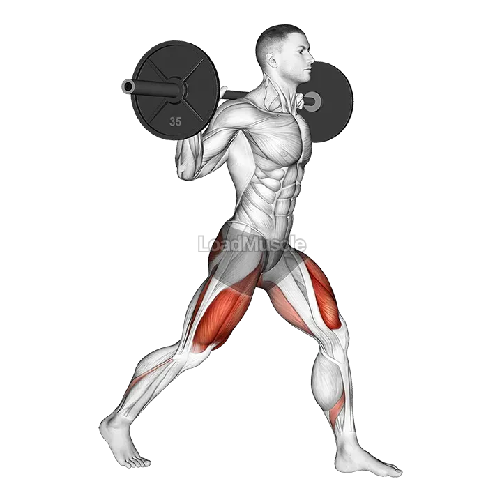 Barbell Split Squat demonstration