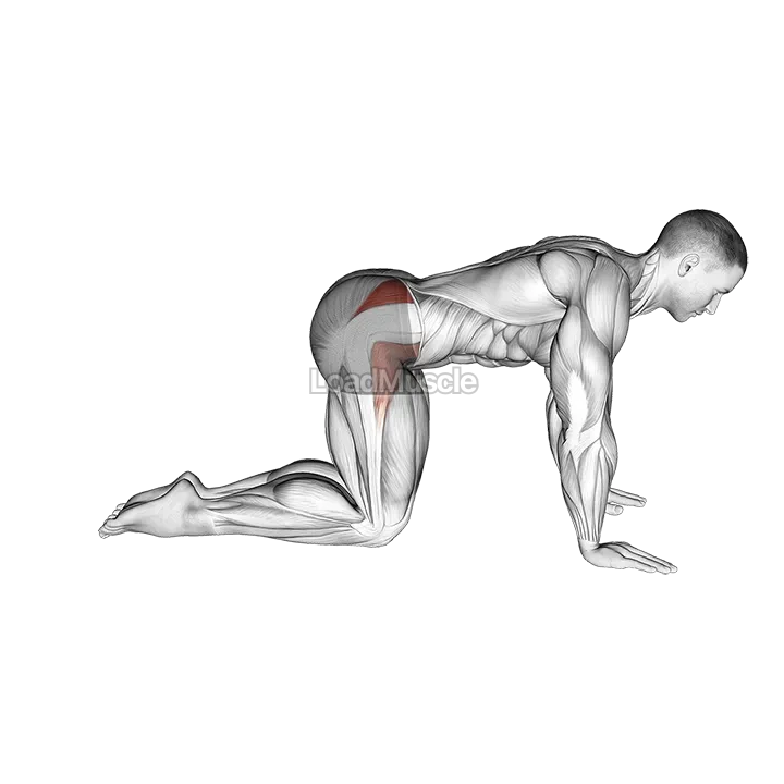 Bent Leg Side Kick (kneeling) demonstration