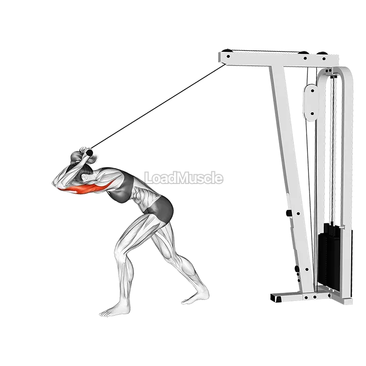 Cable Bar High Pulley Overhead Tricep Extension demonstration