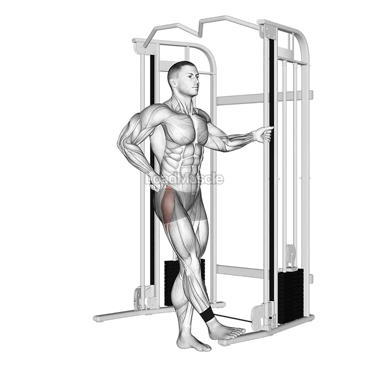 Cable hip abduction demonstration