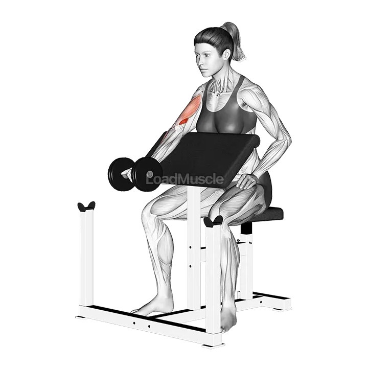 Dumbbell Single Arm Preacher Curl demonstration