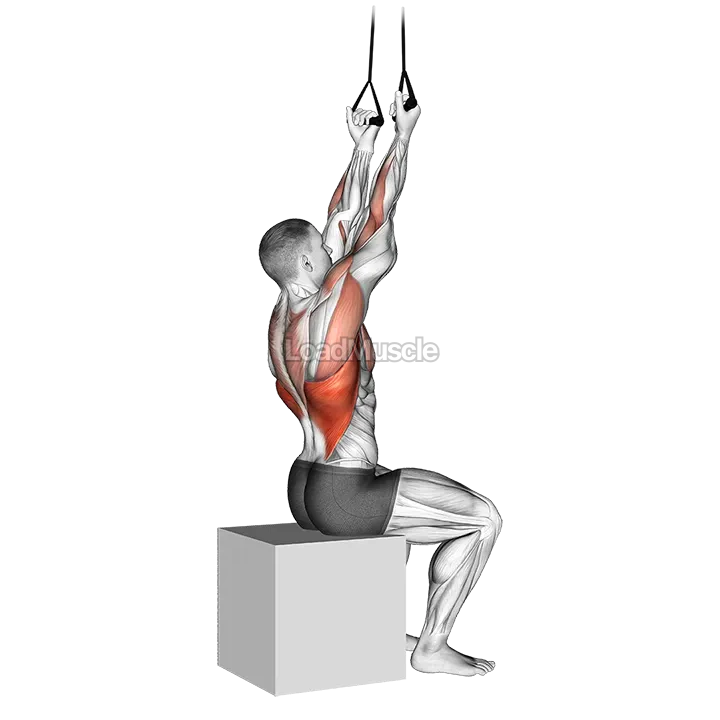 Band Fixed Back Underhand Pulldown demonstration