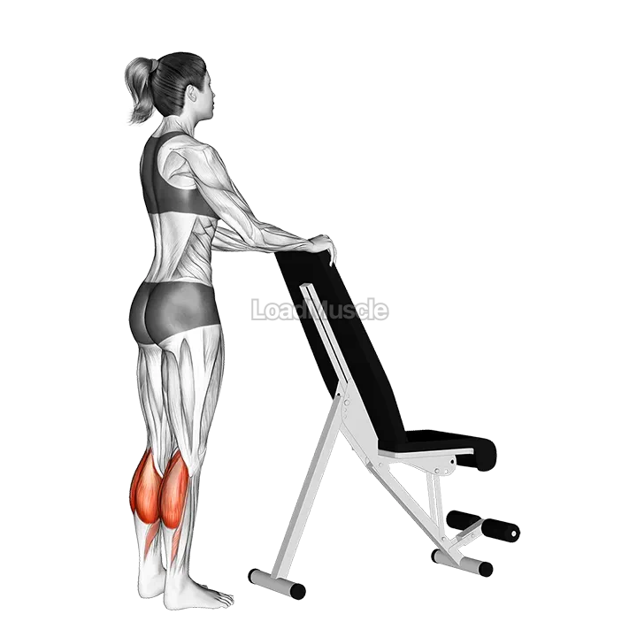 Standing Calf Raise with Support demonstration
