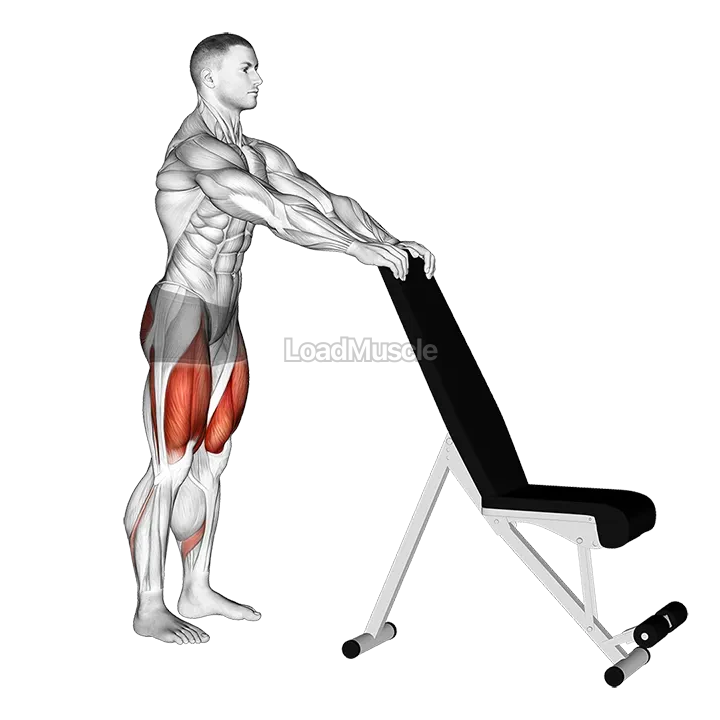 Potty Squat with Support demonstration