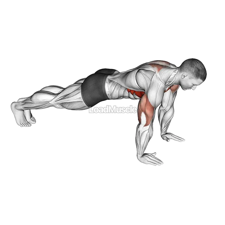 Push-Up Plus demonstration