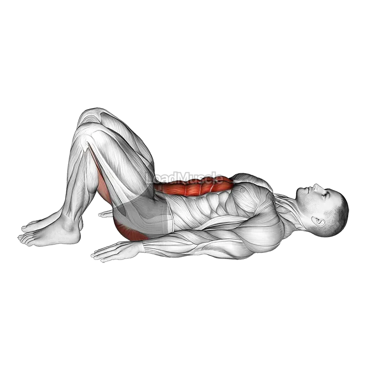 Pelvic Tilt demonstration