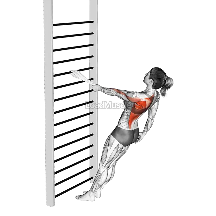 Bodyweight Standing One Arm Row (with towel) demonstration