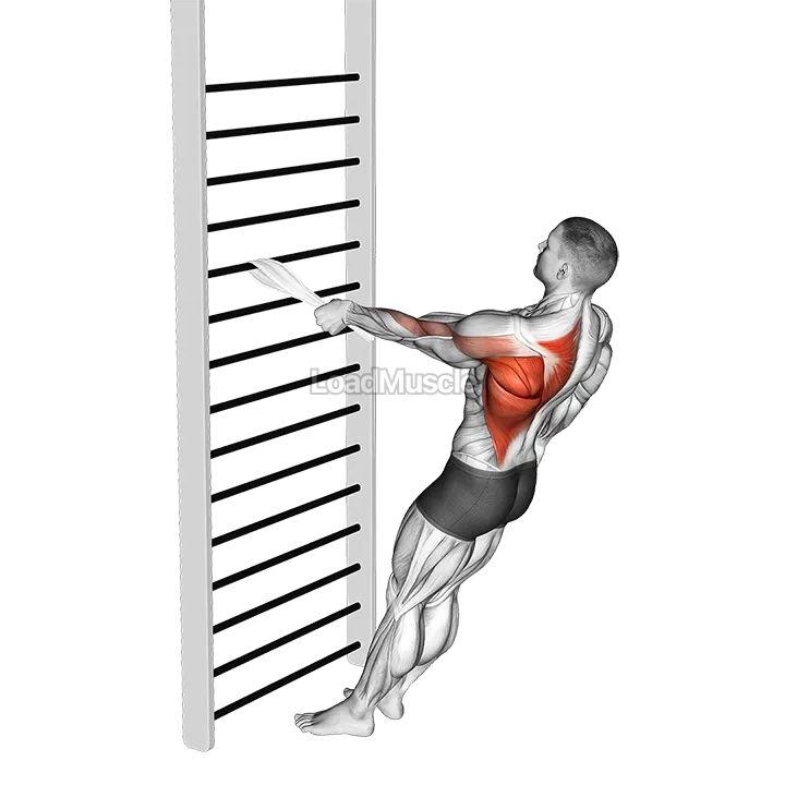 Bodyweight Standing One Arm Row (with towel) demonstration