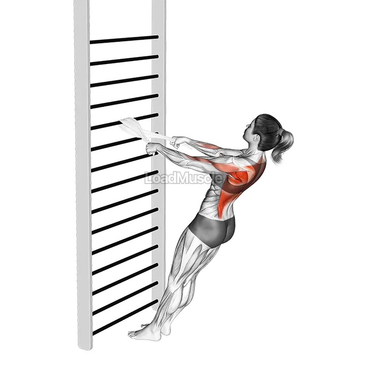 Bodyweight Standing Row (with towel) demonstration