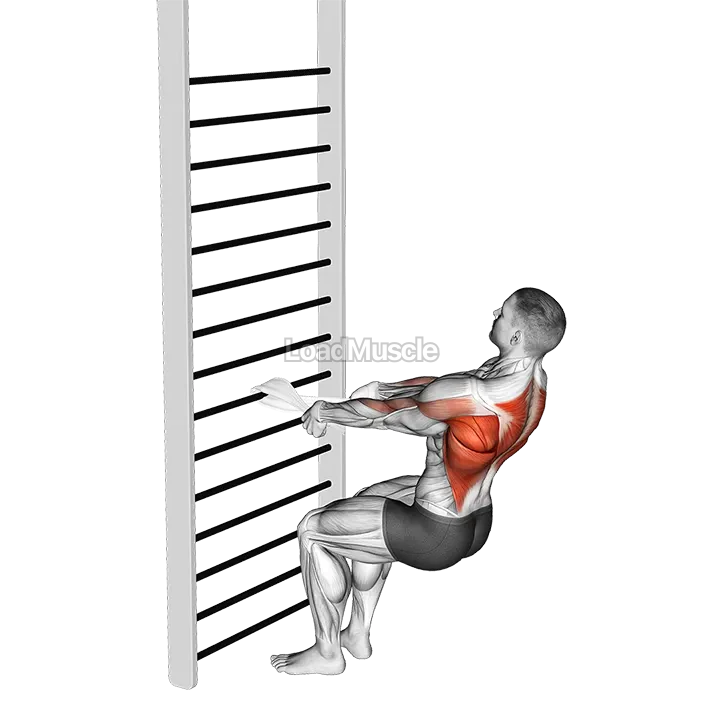 Bodyweight Squatting Row (with towel) demonstration