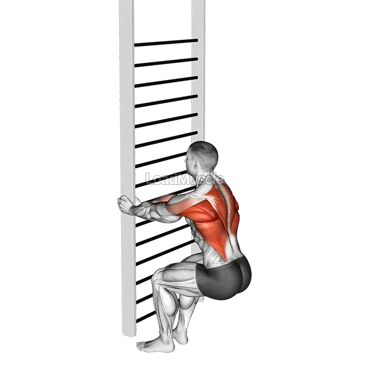 Bodyweight Squatting Row demonstration