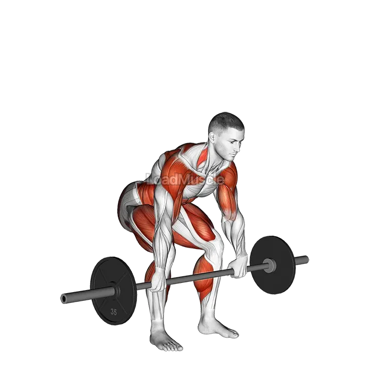 Barbell Hang Clean Below the Knees demonstration