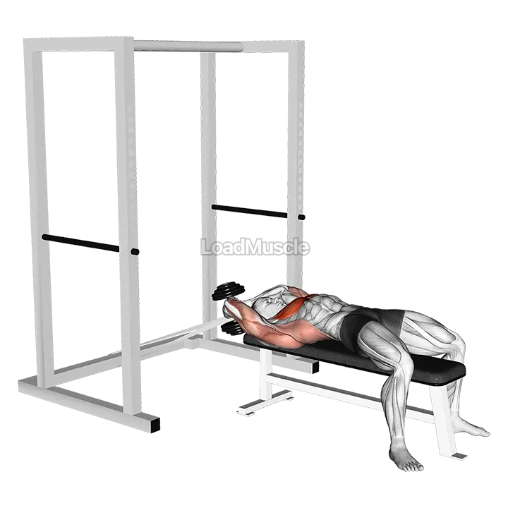 Dumbbell Straight Arm Pullover (with hanging band technique) demonstration