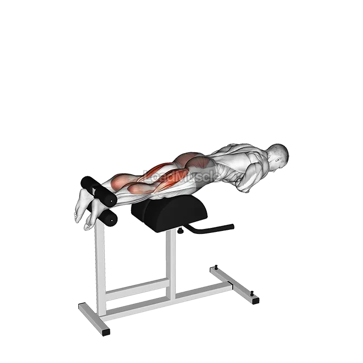 Glute Ham Raise demonstration