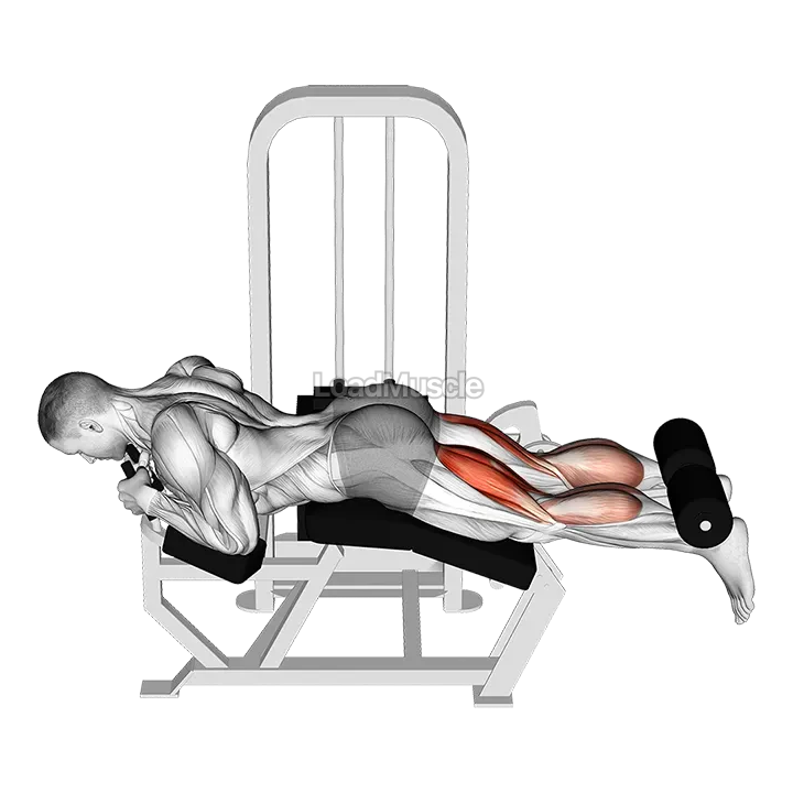 Lever Lying Two-One Leg Curl demonstration