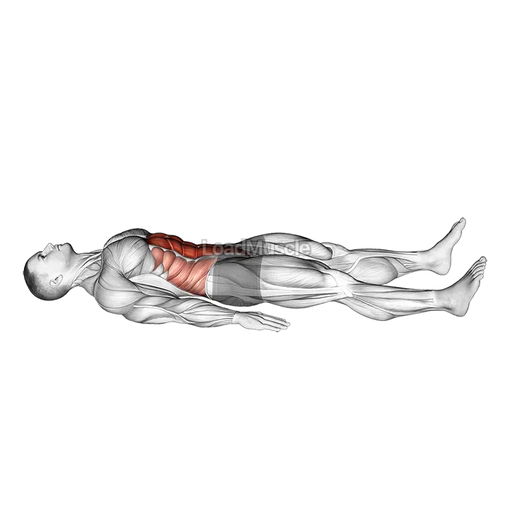 Quarter Sit-up demonstration