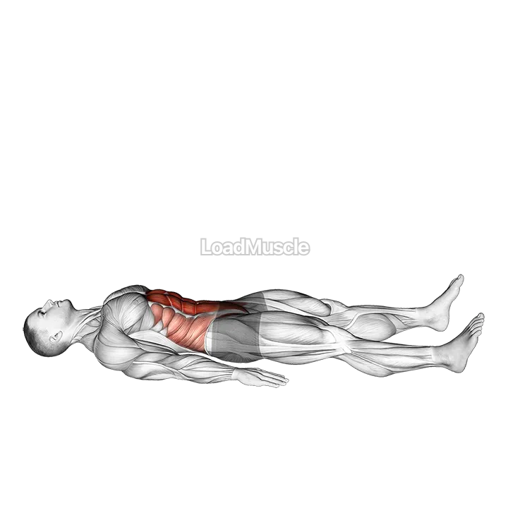 Half Sit-up demonstration