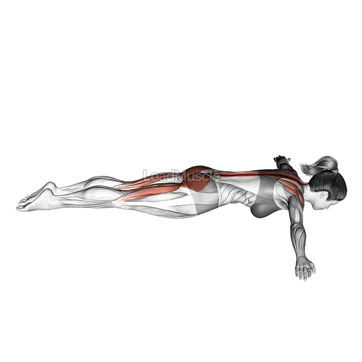 Floor T-Raise demonstration