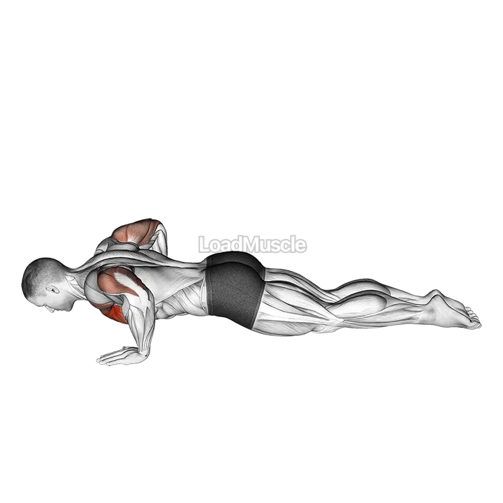 Kneeling Push-up demonstration