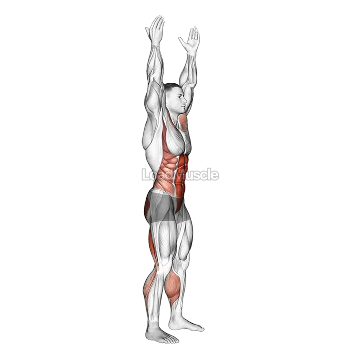 Basic Toe Touch demonstration