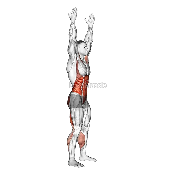 Side-to-Side Toe Touch demonstration